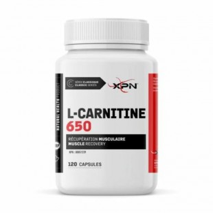 XPN - L-Carnitine 650
