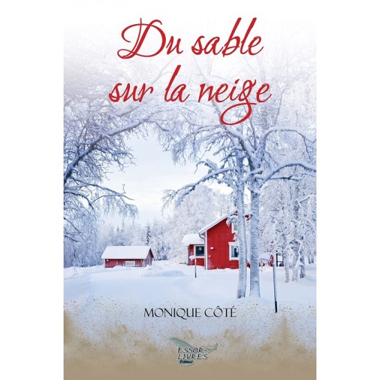 Du sable sur la neige - Monique Côté