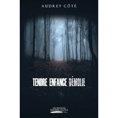 Tendre enfance démolie - Audrey Côté