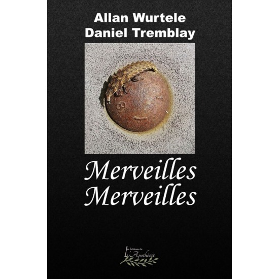 Merveilles Merveilles - Allan Wurtele et Daniel Tremblay