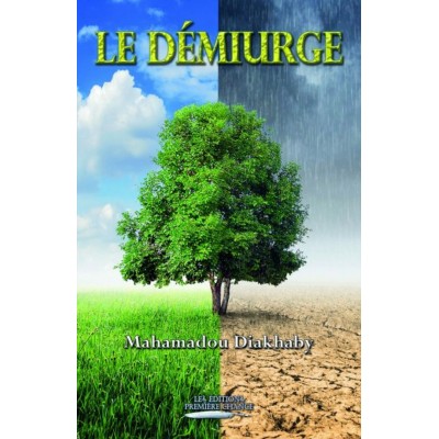 Le démiurge - Mahamadou Diakhaby