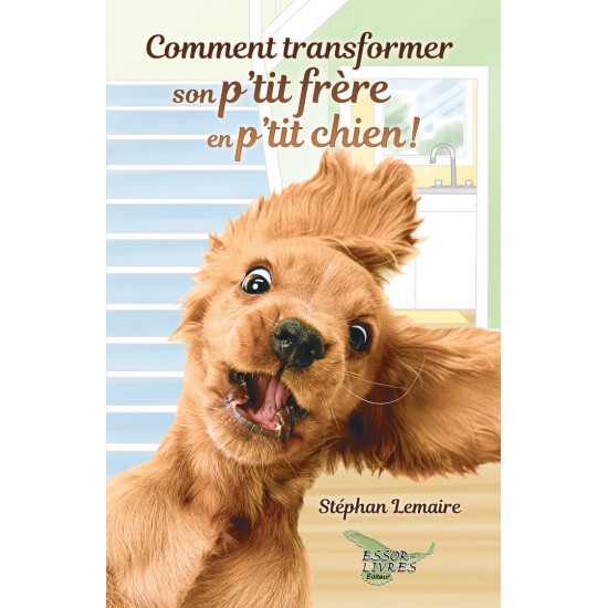 Comment transformer son p'tit frère en p'tit...