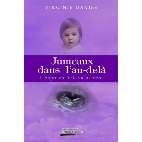 Jumeaux dans l'au-delà - Virginie Daries