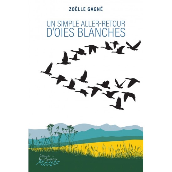 Un simple aller-retour d'oies blanches - Zoëlle...