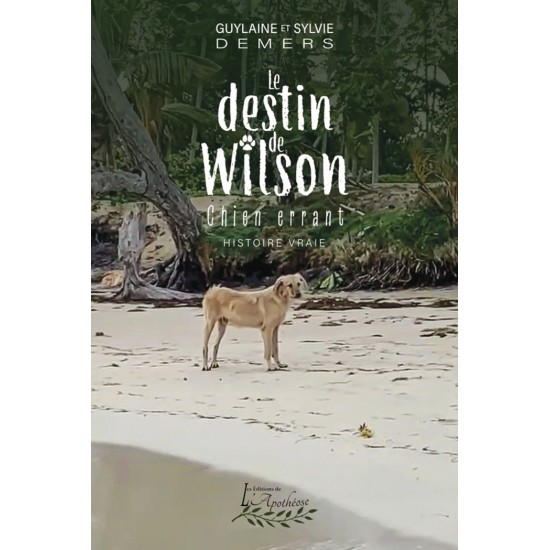 Le destin de Wilson - Sylvie et Guylaine Demers