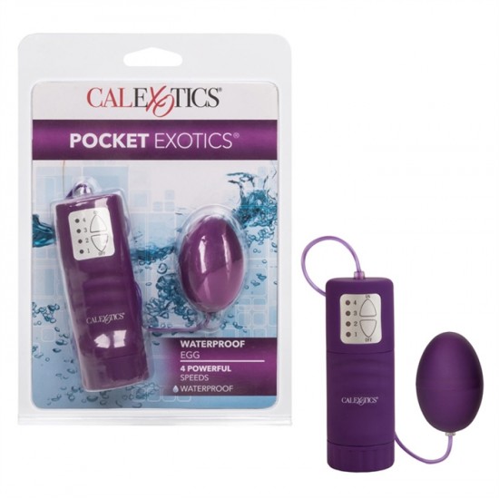 Bullet Pocket Exotics Waterproof Egg - Purple