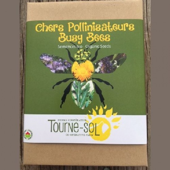 Coffret cadeau Chers Pollinisateurs