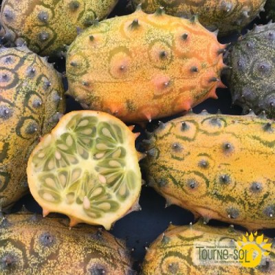 Melon Kiwano