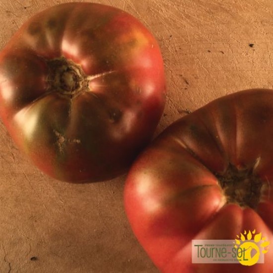 Tomate Mauve Cherokee Purple