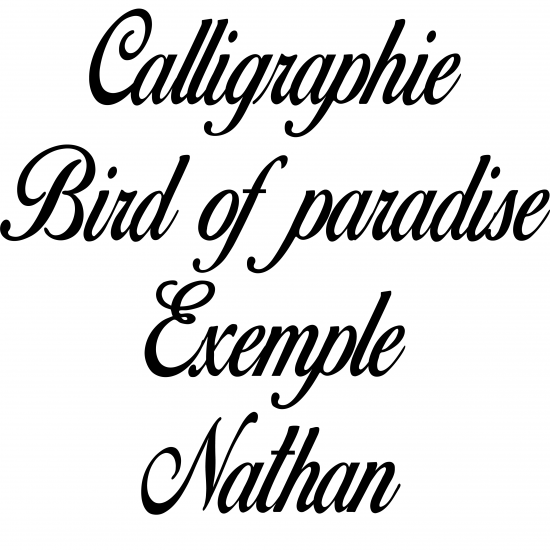 Calligraphie "Bird of paradise"