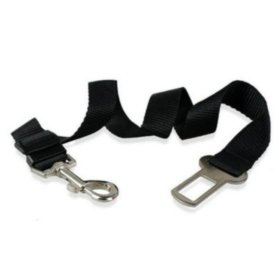 Ceinture de sécurité pour chien