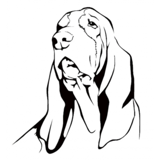 Autocollant Regard de Basset