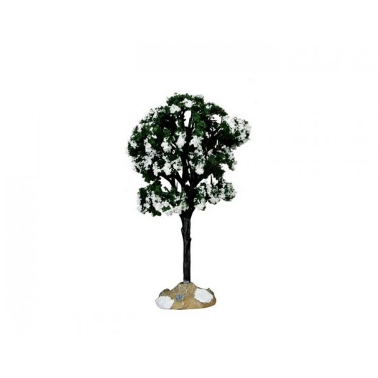 Arbre Petit sapin baumier # 64089