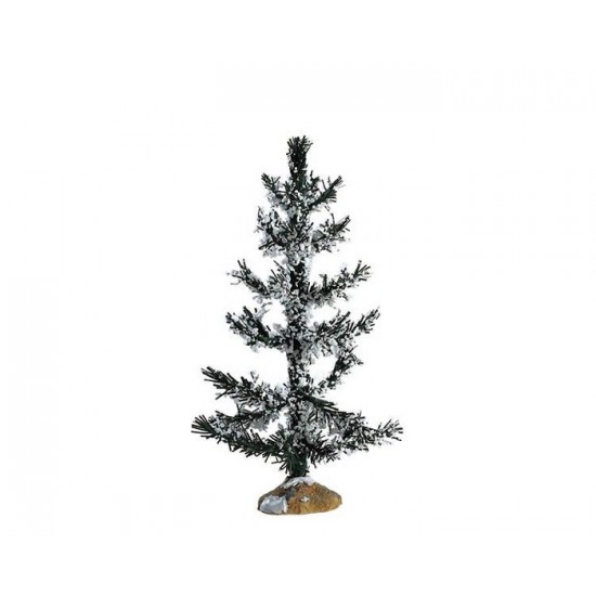 Arbre Pin blanc, moyen # 74261