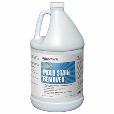 Instant Mold Stain Remover