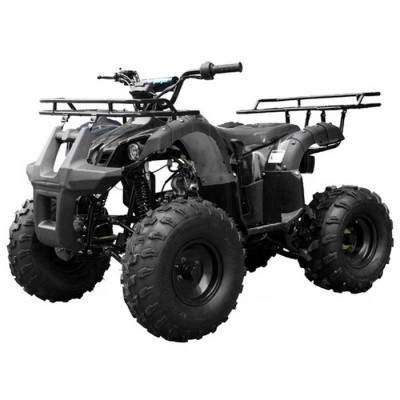 TAOTAO T FORCE 125 NOIR SPYDER
