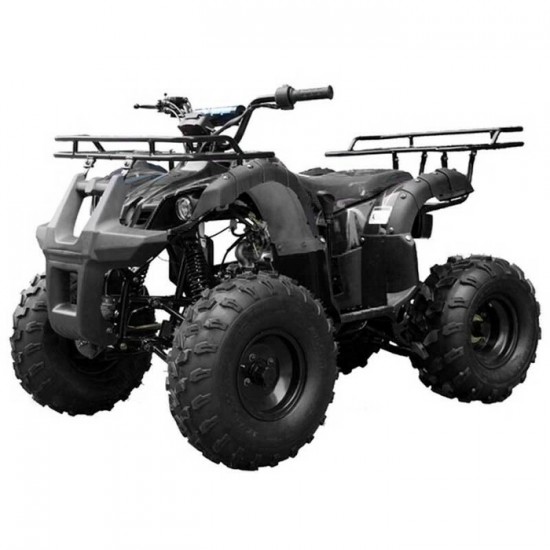 TAOTAO T FORCE 125 NOIR SPYDER