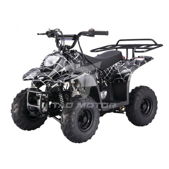  PETIT VTT POUR ENFANT TAOTAO 110B VTT.ATV NOIR...