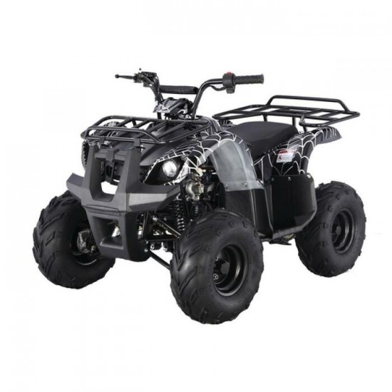 PETIT VTT POUR ENFANT TAOTAO 125-D VTT.ATV NOIR...