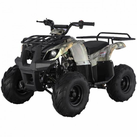  PETIT VTT POUR ENFANT TAOTAO 125-D VTT.ATV TREE CAMO