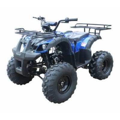 TAOTAO T FORCE 125 BLEU SPIDER