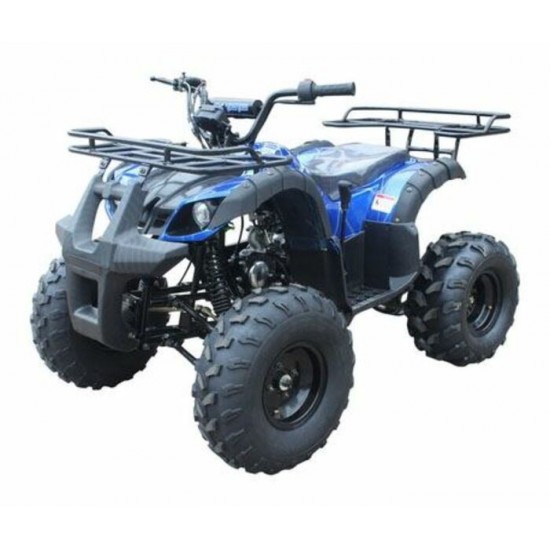 TAOTAO T FORCE 125 BLEU SPIDER