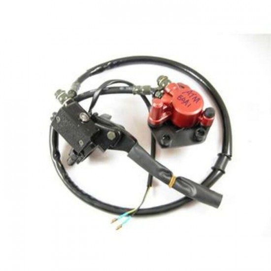 Front Disk Brake Assembly TAOTAO SKU: 106625