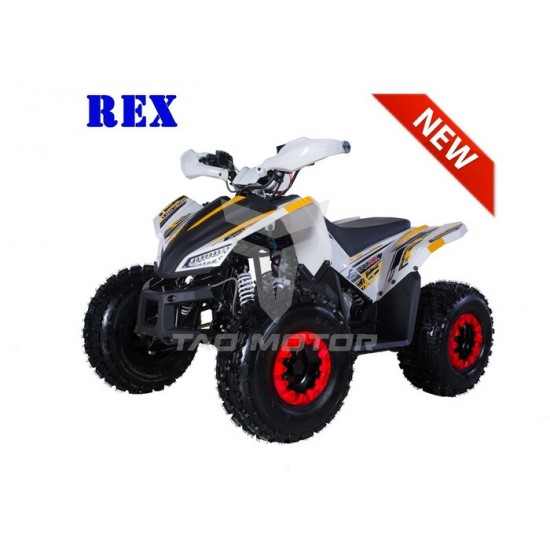 TAOTAO REX 125CC JAUNE