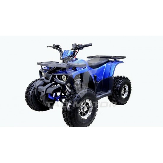 TAOTAO RAPTOR 125CC BLEU