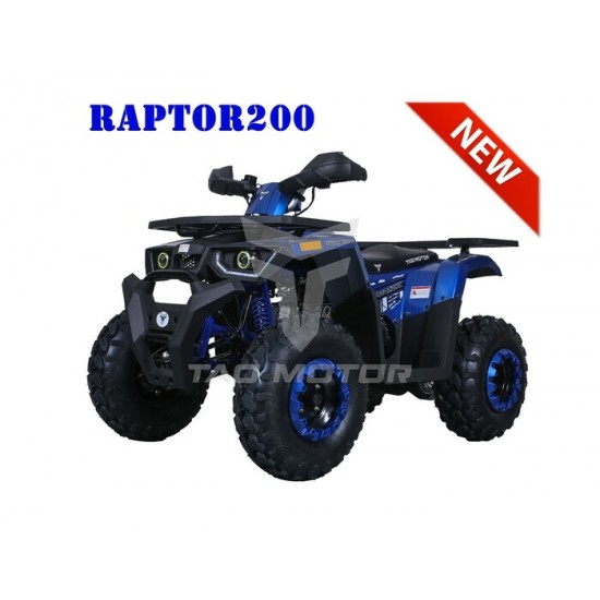 TAOTAO RAPTOR 200 BLEU