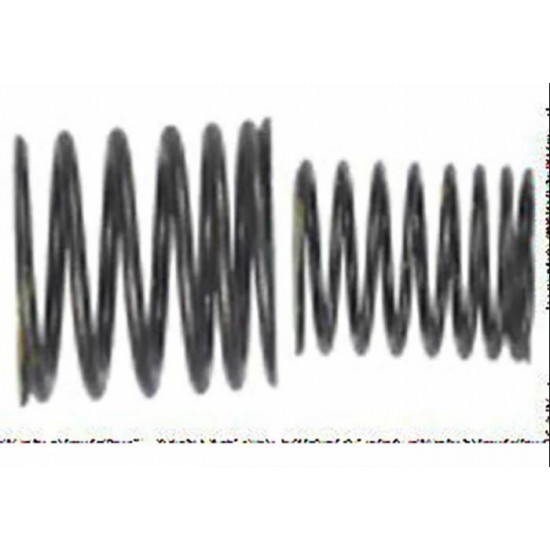 ENGINE VALVE SPRING (ATA 110D/D1)