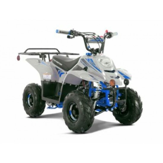 PETIT VTT POUR ENFANT TAOTAO 110B 2023 VTT.ATV...