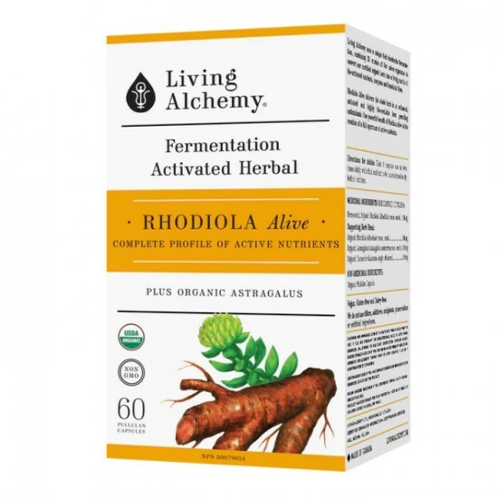 Rhodiola Vivant