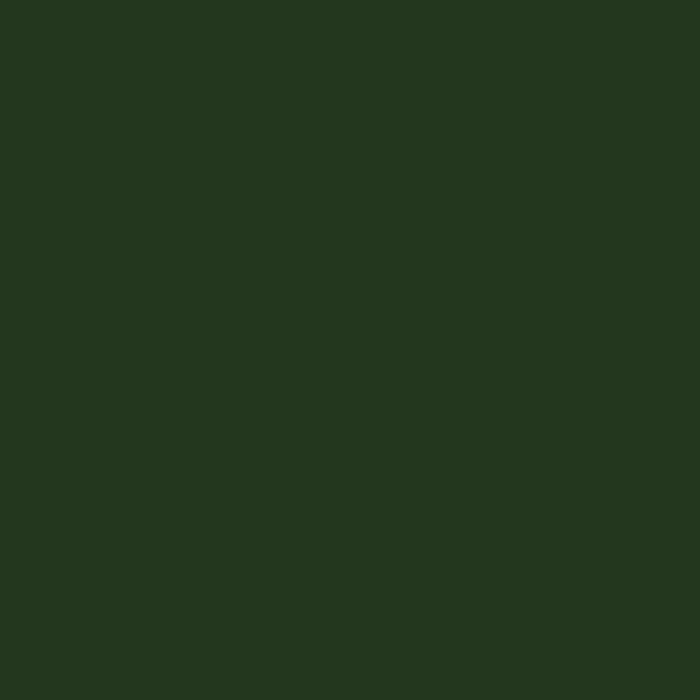 DecoArt, Americana Peinture Acrylique 2oz Vert Conifère DA082 DecoArt, Americana Peinture Acrylique 2oz Vert Conifère DA082