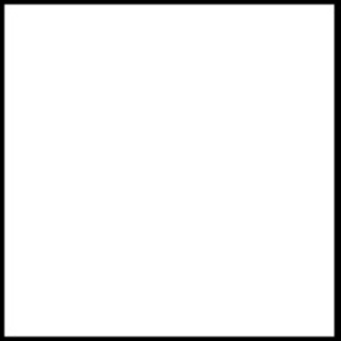 DecoArt, Americana Peinture Acrylique 16oz Blanc Neige / Titane DA001-16 DecoArt, Americana Peinture Acrylique 16oz Blanc Neige / Titane DA001-16