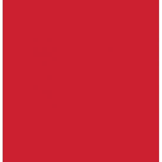 Jacquard Pinata Encre a L'Alcool 1/2 oz Rouge... Jacquard Pinata Encre a L'Alcool 1/2 oz Rouge...