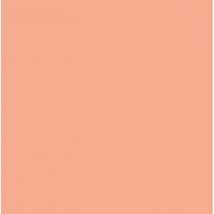 DecoArt, Americana Peinture Acrylique 2oz Nuage de Corail DA397 DecoArt, Americana Peinture Acrylique 2oz Nuage de Corail DA397
