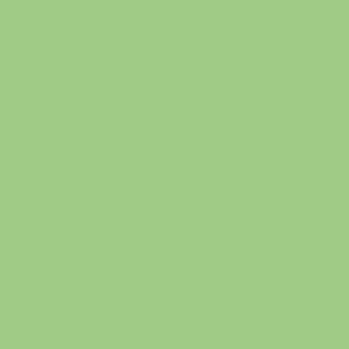 DecoArt, Americana Peinture Acrylique 2oz Mousse Irlandaise DA312 DecoArt, Americana Peinture Acrylique 2oz Mousse Irlandaise DA312