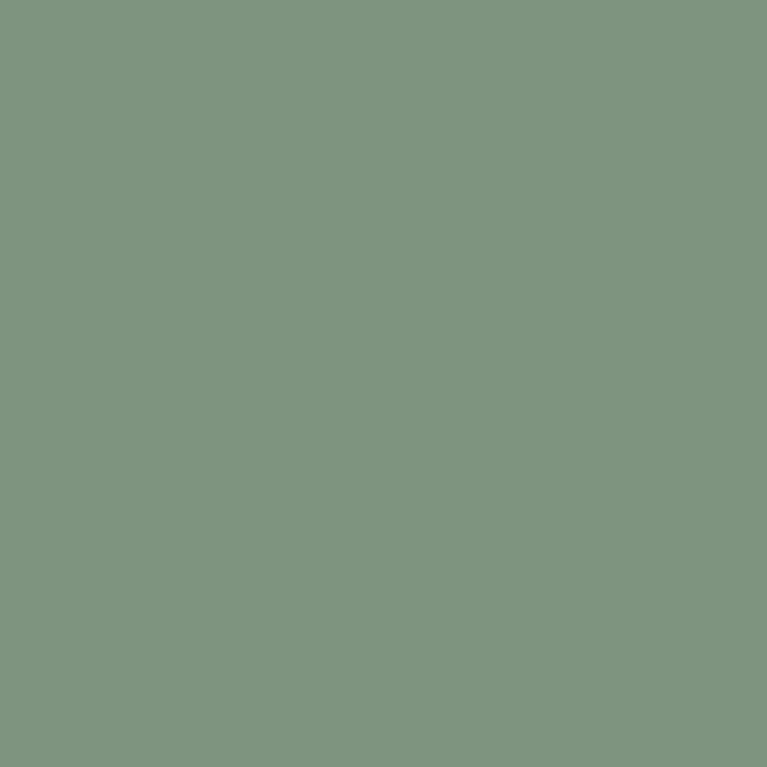 DecoArt, Americana Peinture Acrylique 2oz Cactus du Désert DA331 DecoArt, Americana Peinture Acrylique 2oz Cactus du Désert DA331