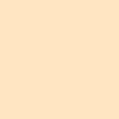 DecoArt, Americana Peinture Acrylique 2oz Sable DA004