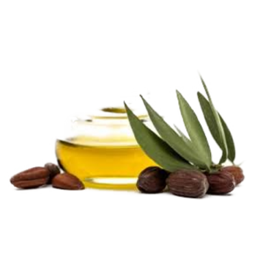 Jojoba bio