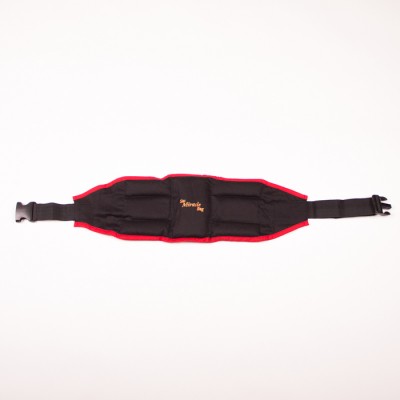 CEINTURE LOMBAIRE ET VENTRALE
