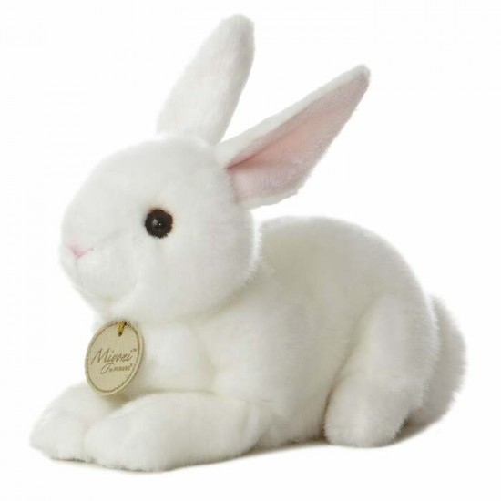 Lapin Américain - Miyoni