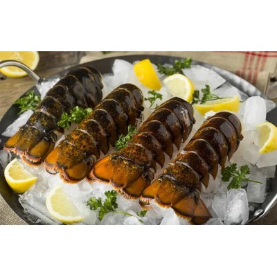 HOMARD CHAIR CUIT / PEARLMARK 320GR