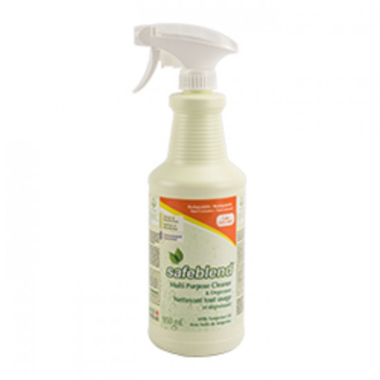 NETTOYEUR TOUT USAGE TANGERINE RTU SAFEBLEND...