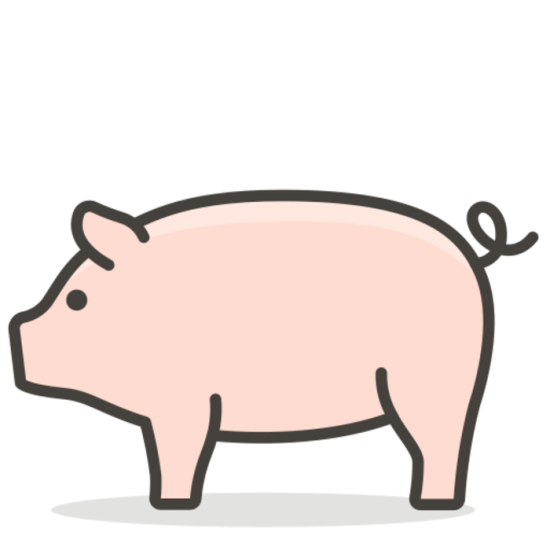PORC LONGE AVEC OS REGULIER (2) (+-9K.P.) / ASTA