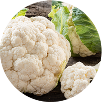 CHOU FLEUR RIZ / ARCTIC G ACCENT 2KG
