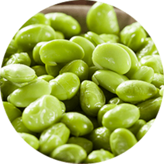 FEVE EDAMAME SANS ECAILLE / ALASKO 10KG