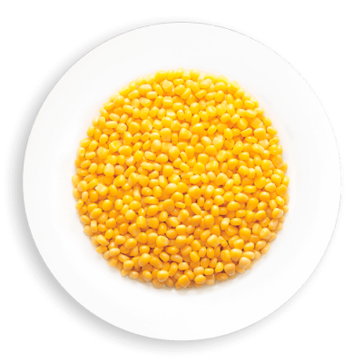 MAIS GRAIN ENTIER / ARCTIC GARDENS 2KG
