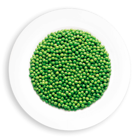 POIS VERT ASSORTI FANTAISIE / ARCTIC GARDENS 2KG